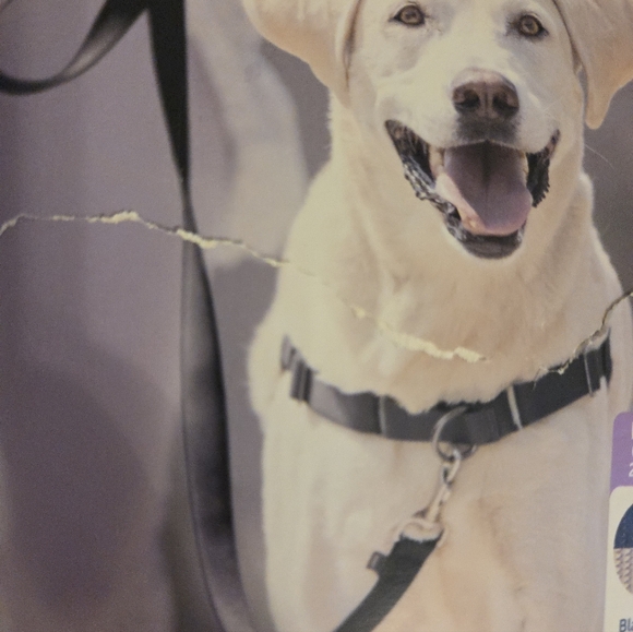 PetSafe Easy Walk Classic No Pull Harness Size Large 65-95 Lbs NEW - Picture 9 of 12